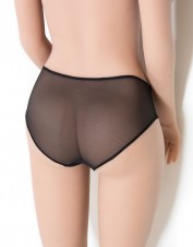 FAF Lingerie. Sheer Panties Mesh Brief. FAF-900(2X), Color: AS SHOWN