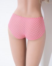 FAF Lingerie. Pink Sheer Brief Panties. FAF-903(2X), Color: AS SHOWN