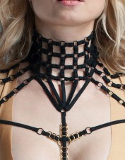 FAF Lingerie. Strappy Lingerie Neck Harness Collar. FAF-D297, Color: AS SHOWN