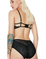 FAF Lingerie. STRAPPY MESH AND LACE PANTIES. FAF-D334(2X), Color: AS SHOWN
